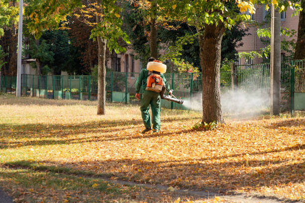 Best Best Pest Control Companies  in Essex, IL