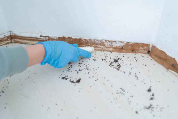 Best Pest Prevention Services  in Essex, IL